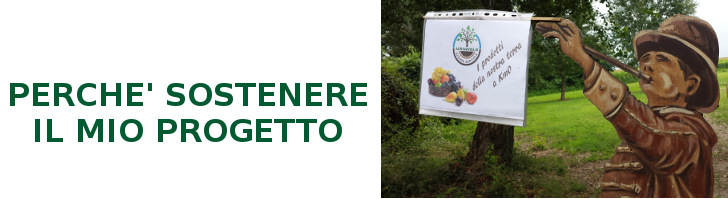 PERCHE' SOSTENERE IL MIO PROGETTO