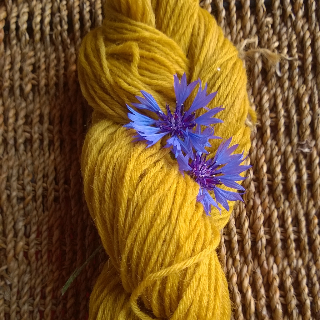 lana tinta con fiordaliso