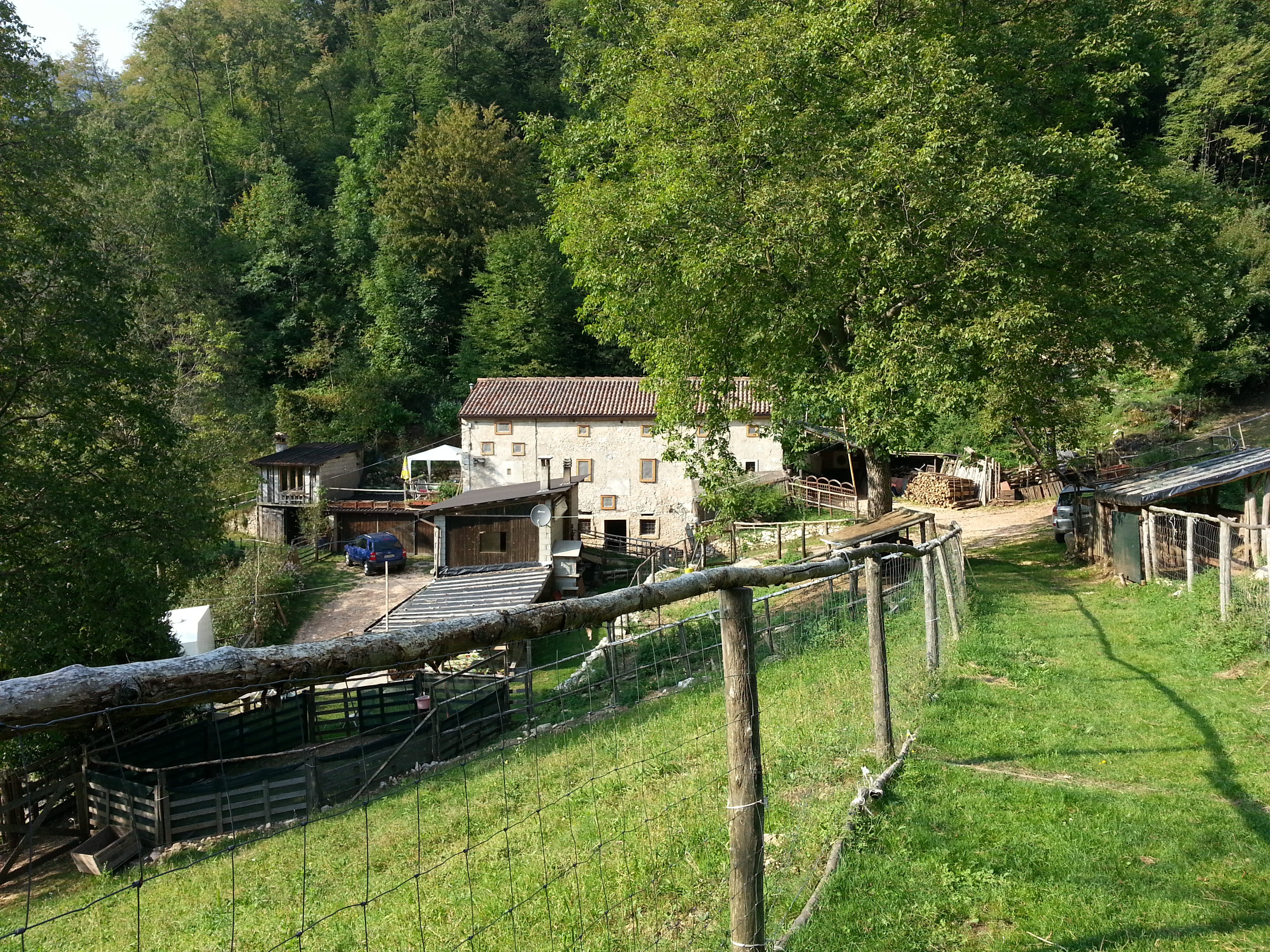 Il nostro sogno in Lessinia (VR) tra alpaca e lama