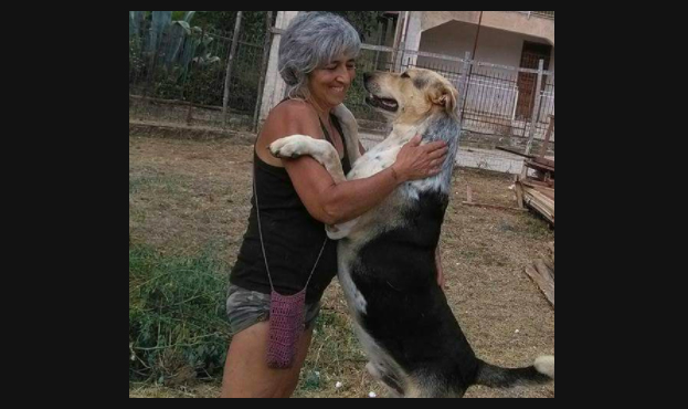 QUINDICI CANI IN SFRATTO, A GENNAIO SARANNO IN STRADA A RISCHIO VITA