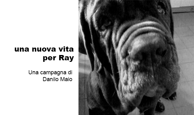 Nuova vita per Ray