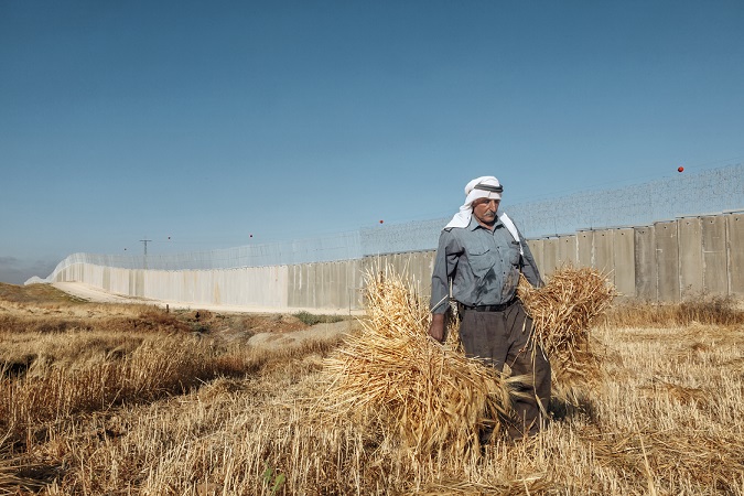 SUMUD in libera terra: per un'agricoltura sovrana e la valorizzazione della memoria in Palestina