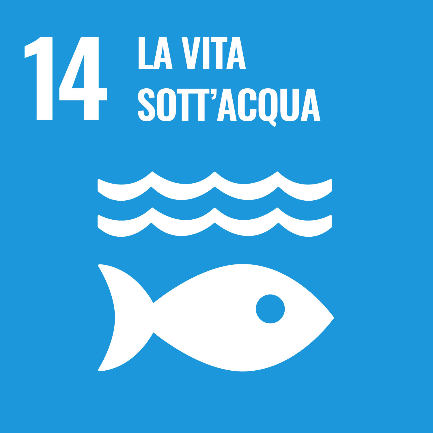 Vita sott'acqua