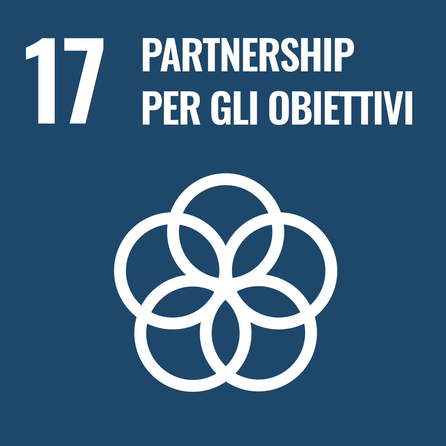 Partnership per gli obiettivi